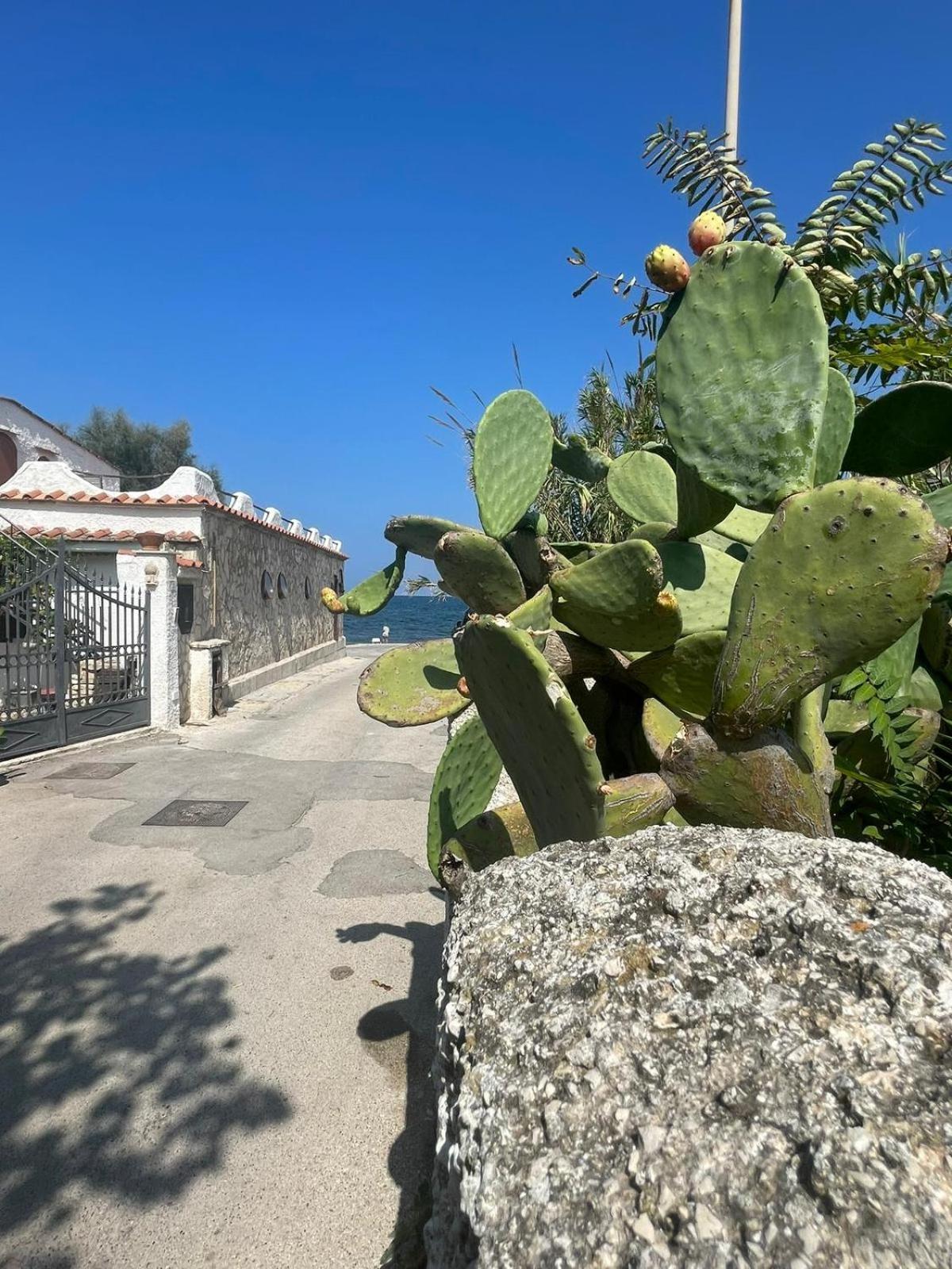 La Villetta Sul Mare Bari Exteriér fotografie